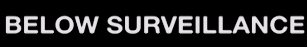 Below Surveillance Header